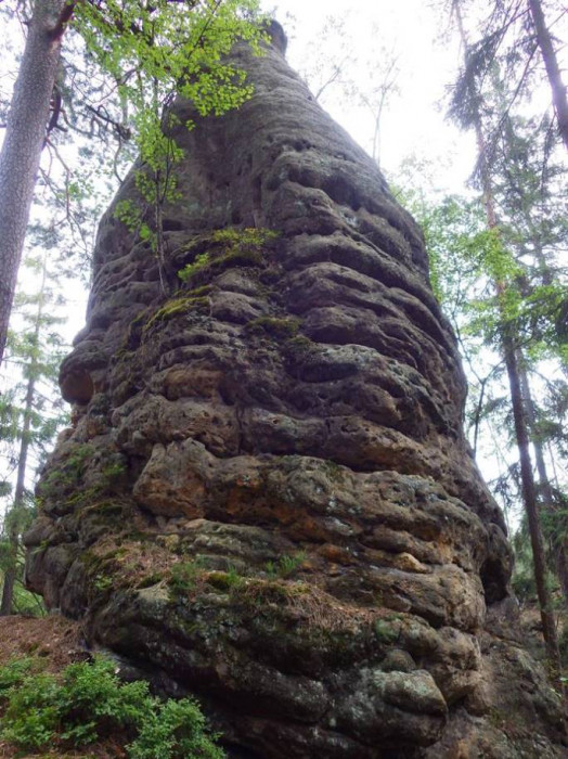 Narozeniny strýčka Lály