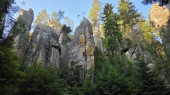 Koutová