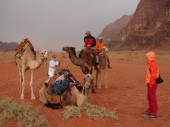 Welcome to Jordan! Aneb v moři pískovcových hor