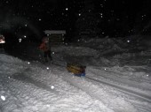 Sviňing 2010