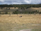 U Strip 2008 část 2. - Lezení ve Wyomingu (Vedawoo, Devils Tower)