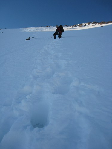 Výstup na Weißseespitze (3518 m)  - Nordwand –  Ötztalské Alpy